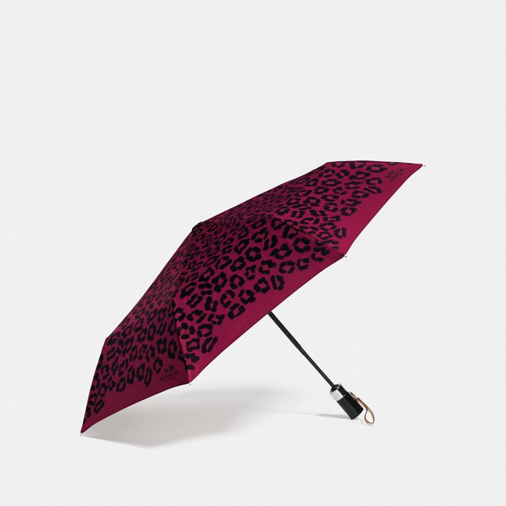 OCELOT PRINT UMBRELLA - COACH f64150 - SILVER/CRANBERRY