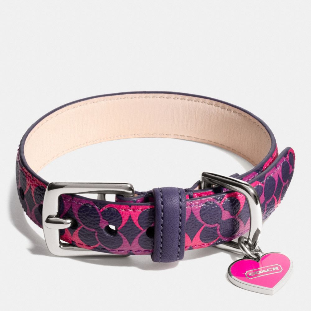 WAVERLY SIGNATURE PET COLLAR - COACH f67599 - SILVER/NAVY/PINK