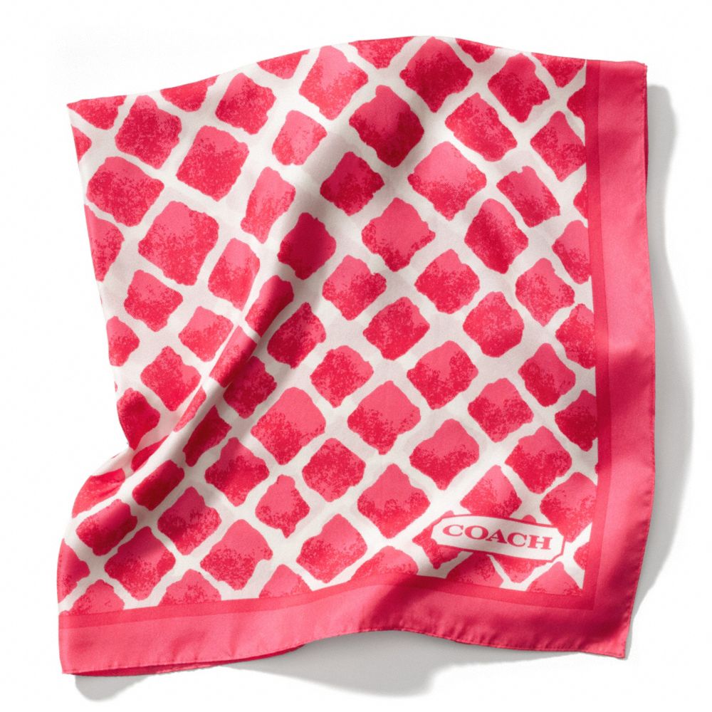 PAINTED DIAMONDS SCARF - COACH f84259 - 25933
