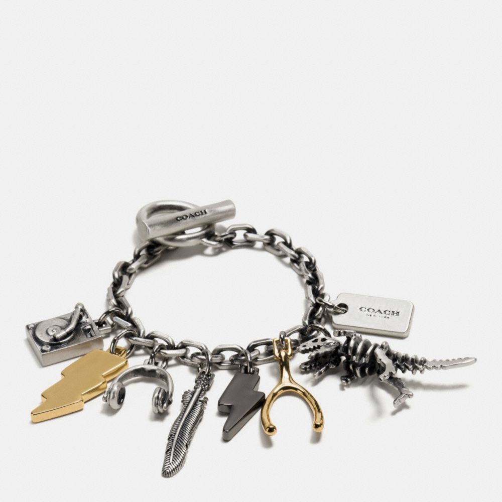 DAY DREAMER CHARM BRACELET - COACH f90973 - SILVER/GOLD