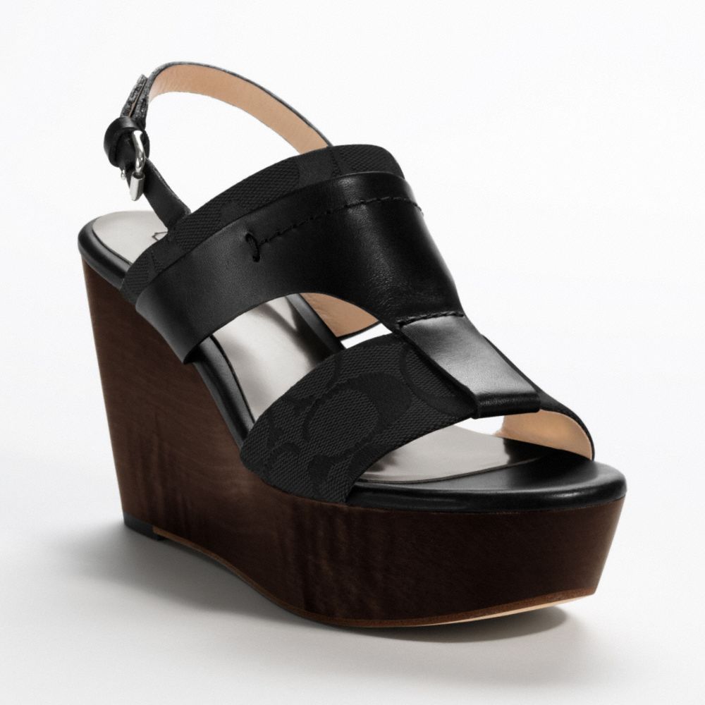 Campbell Wedge