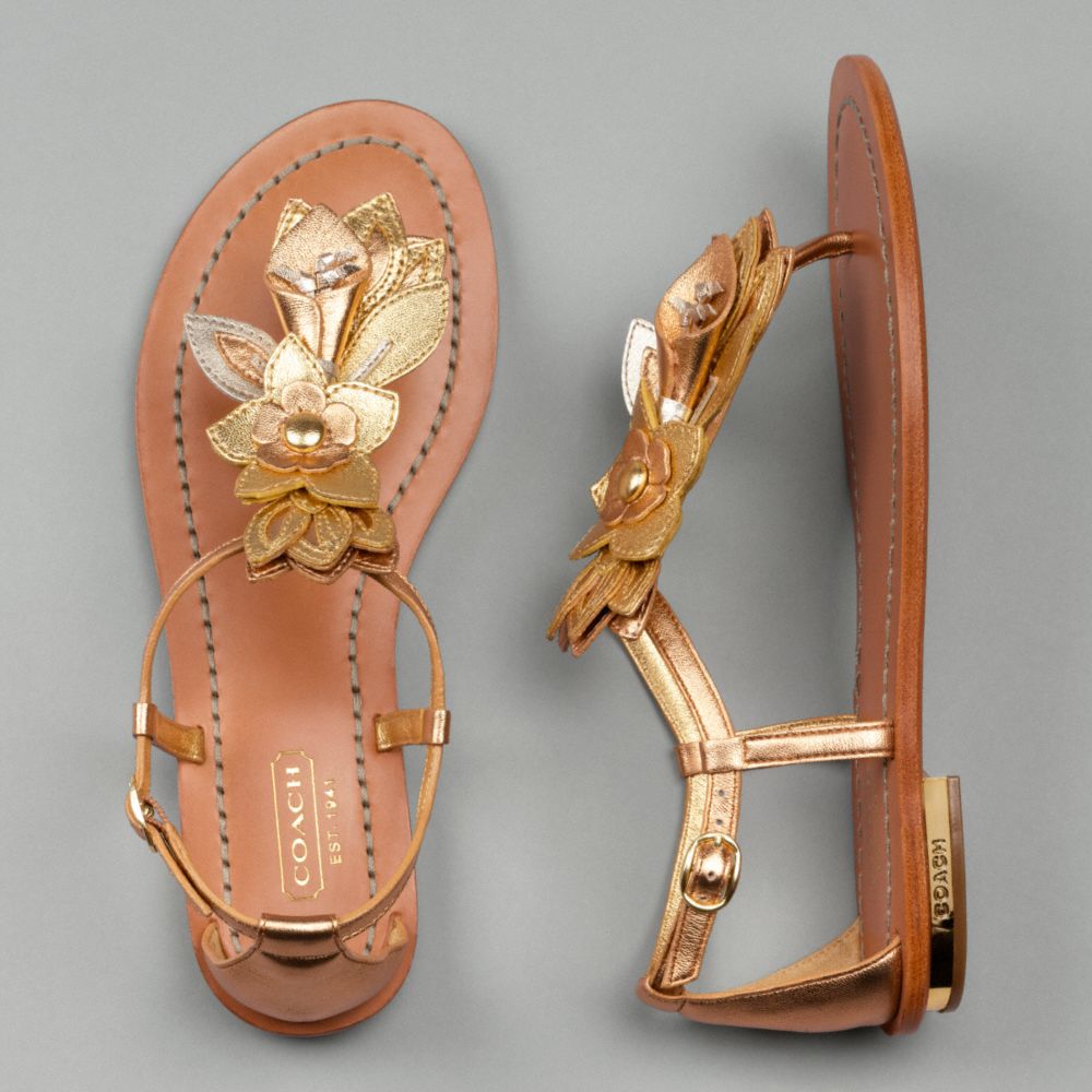 Coach Sierra Sandal - $188