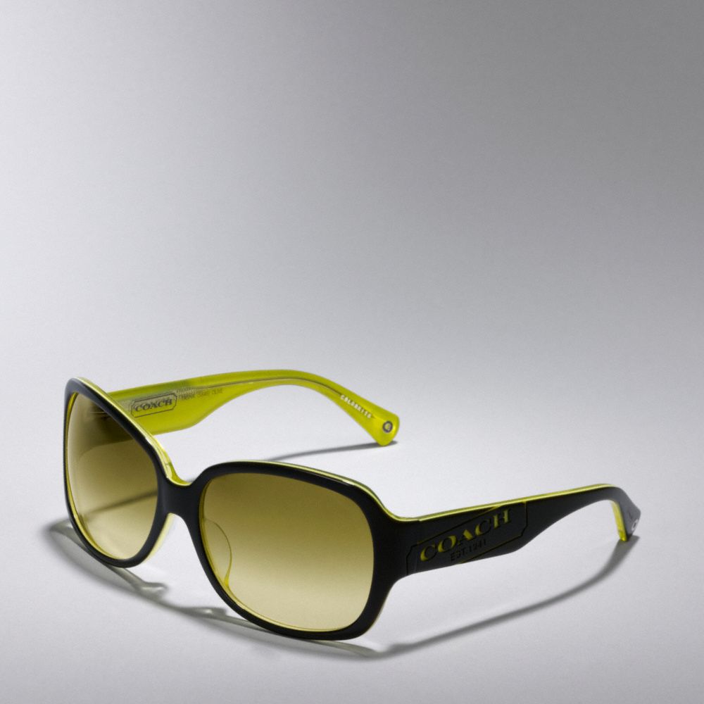 TASHA SUNGLASSES $148.00