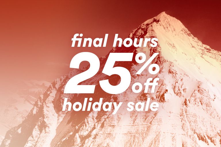 final hours 25% off holiday sale
