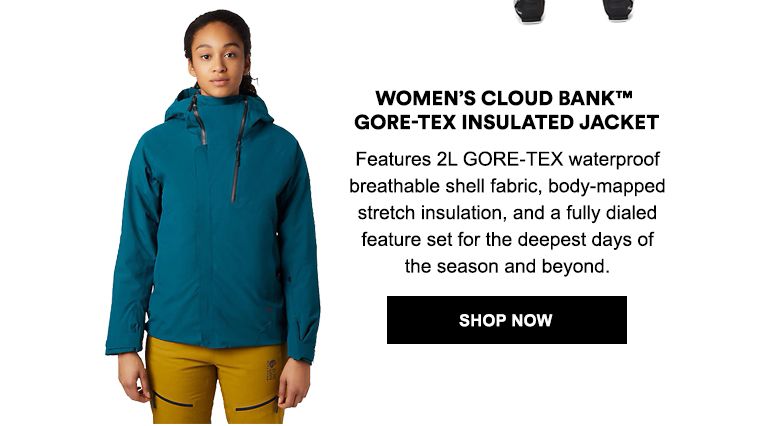Womens Cloud Bank GORE-TEX Insulated Jacket