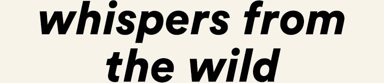 whispers from the wild