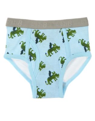 Dragon Brief