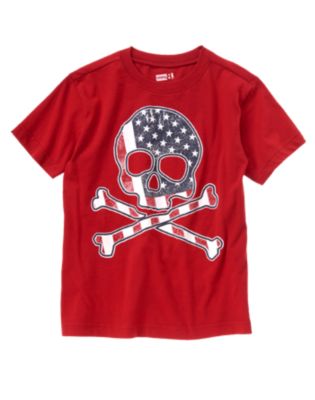 Flag Skull & Crossbones Tee