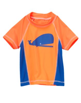 Whale Rash Guard