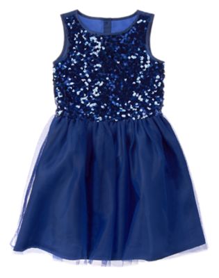 Shimmer Tulle Dress