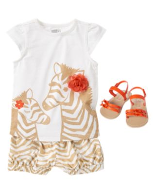 Little Zebra