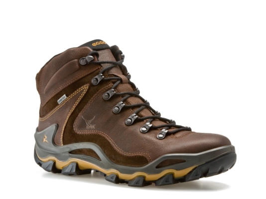 ECCO X-Series Men's Terra Dhaka Boot