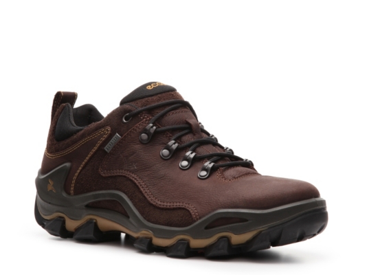 ECCO Men's Terra Hiker