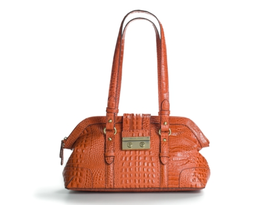 Etienne Aigner Monaco Frame Satchel