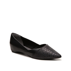 dsw pointed flats