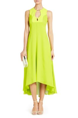 in Bright Kiwi
