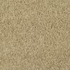 03122 Arizona Sand