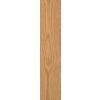 719 Red Oak