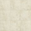 00100 Ivory