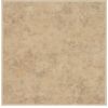 Car02 Beige