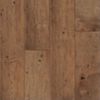 Maple Chesapeake