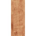 L6535 Tiger Maple L6535 Tiger Maple