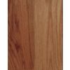 Gunstock Gunstock