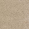 00100 Rice Grain