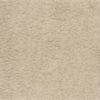 00100 Raw Silk