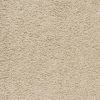00100 Raw Silk