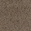 657 Dried Herb 657 Dried Herb