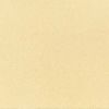 43332-9120 Yellow Narcissus