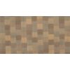 CB24-0001 Sand Dune