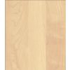 614213 TP Summer Maple 614213 TP Summer Maple
