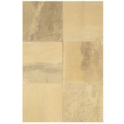 Fossil Sandstone Fossil Sandstone