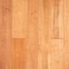 KAXM14ABCDTJ Maple Tillamook