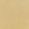 9751 Gold Dome