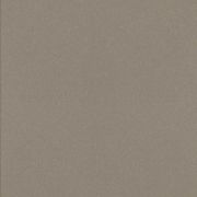 Dignified Gray 2465 Polished Dignified Gray 2465 Polished