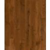 Austin Oak 