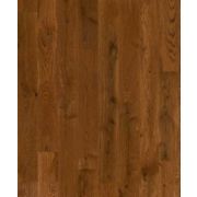 Austin Oak Austin Oak