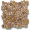 Beige Polished Pebble Interlocking Beige Polished Pebble Interlocking
