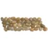 Beige Polished Pebble Interlocking Bdr Beige Polished Pebble Interlocking Bdr