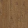 00312 Oceanside, Maple 00312 Oceanside, Maple