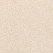 25136 Desert Pearl 25136 Desert Pearl