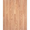 PL1668 Golden Oak