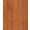 04099-60-538CIN Maple Cinnamon