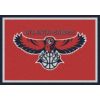 01001 Atlanta Hawks 01001 Atlanta Hawks