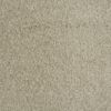 00121 Shiny Beige