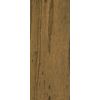 L6559 Frontier Plank Western Sand