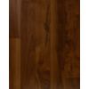 10 Umbrian Walnut